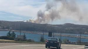 Wild Fire 1